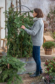 Winterize the rose in the pot and use it as a privacy screen.