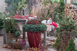 Weihnachtsbasteln auf der Terrasse, Adventskranz aus Tannenzweigen, roten Beeren des Zierapfels, Fichtenzweige, Fichte mit Lichterkette, Zapfen im Korb und Hund