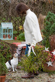 Frau mit Mistelzweig und Hund auf Terrasse, weihnachtlich geschmückt
