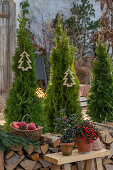 Weihnachtliche Terrasse, Zypressen im Topf mit Christbaumanhänger, Stechpalme (Ilex), Äpfel im Korb und Holzstoß