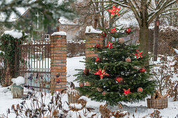 Geschmückter Christbaum im verschneiten Garten
