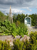 Vegetable garden with arbor