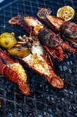 Grilled crayfish