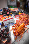 Lobsters at a market in Brittany