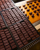 Industriell hergestellte Schokoladenpralinen