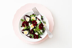 Feldsalat mit lila Karotten, Essblüten und Wachteleiern