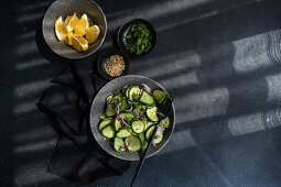 Cucumber salad with red onions, chopped nuts, and parsley