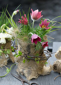 DIY vases made from jars with sackcloth and spring flowers, pasque flower (Pulsatilla)
