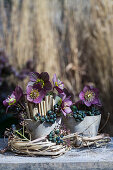 Oriental hellebore, stalks of winter grass and ivy berries in a clay pot, wrapped with a wreath