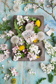 Apfelblüten, Fliederblüten (Syringa) und Löwenzahn (Taraxum) in kleinen Kuchenformen, mit Monatsnamen beschriftet