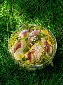 Raw vegetable salad with anchovies