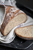 Loaves of mixed wheat bread