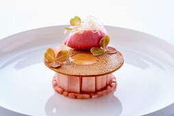 Rhubarb dessert with honey waffle and sorbet