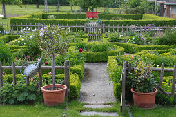 Cottage garden with box, formally laid out, wooden fence, vegetables and flowers