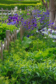 Bauerngarten mit Holzzaun, Gemüse und Blumen