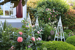 Vorgarten mit Rosen, Buchs und Rankhilfen