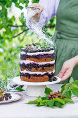 Blackberry naked cake