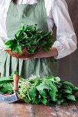 Woman holding wild garlic