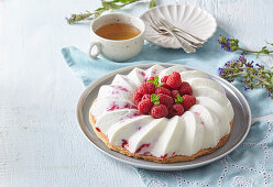 Vanilla ice cream cake with raspberries