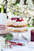 Raspberry and rhubarb cake