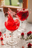 Raspberry and pomegranate gin fizz