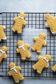 Gingerbread man biscuits