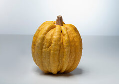 Ayotol (pumpkin variety from Italy)
