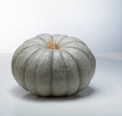 Istanbul (pumpkin variety from Turkey)