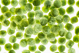 Frozen peas