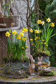 Narcissus 'Tete a Tete' (Narcissus), snowdrops, winter aconites (Eranthis) in pots, bunny figures and eggs in the nest on the patio
