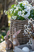 Saxifrage (Saxifraga arendsii), horned violets (Viola Cornuta) in flower basket, Easter bunnies and pussy willows