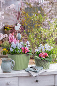 Hyazinthen (Hyacinthus), Kegelblume (Puschkinia), und Primeln (Primula) in Töpfen mit Ostedeko auf der Terrasse