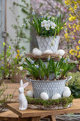 Grape hyacinth (Muscari) 'Mountain Lady', 'White Magic', in a pot decorated with hen's eggs and moss