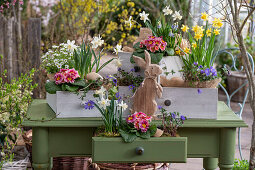 Narzissen (Narcissus) 'Sailboat', 'Tete a Tete', Primeln, Windröschen, Traubenhyazinthen in alten Schubladen auf der Terrasse mit Osterhase und Eiern