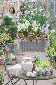 Hyazinthen (Hyacinthus), Kegelblume, Märzenbecher (Leucojum Vernum), in Blumenampel und Tisch mit Osterdeko, Hasenfiguren auf der Terrasse