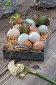 Naturally colored Easter eggs on straw in an old metal tray, daffodils 'Bridal Crown' as decoration on a wooden table