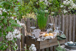 Chives in a pot with Easter eggs, crockery and blanket in a picnic box hanging on the garden fence in front of a rock pear