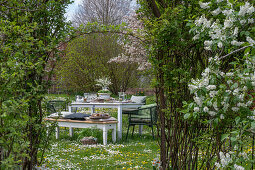 Gedeckter Tisch im Garten für Osterfrühstück mit Osternest und gefärbten Eiern, Blumenstrauß in Etagere, Korb mit Ostereiern in der Wiese, Torbogen durch Stauden