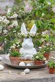 Gänseblümchen (Bellis)  in kleinen Blumentöpfen, Hühnereier und Osterhasenfigur mit Blumenkranz auf silbernem Teller