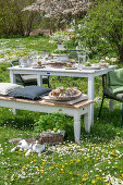 Gedeckter Tisch im Garten für Osterfrühstück mit Osternest und gefärbten Eiern in Eierbechern, Blumenstrauß, Korb mit Eiern und Petersilie, davor Katze