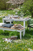 Table set in the garden for Easter breakfast with Easter nest and colored eggs in egg cups, bouquet of flowers, basket with eggs and parsley, cat in grass in front of table