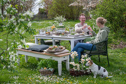 Junges Paar sitzt an gedecktem Tisch zum Osterfrühstück mit Osternest und gefärbten Eiern  in Eierbechern, mit Sekt anstoßen, Narzissen und Petersilie im Korb, mit Hund im Garten