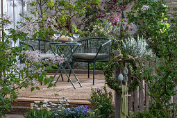 Dwarf lilac 'Palibin', blood plum 'Nigra', tulips around patio breakfast table with eggs, Easter wreath on fence