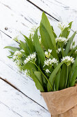 A bunch of wild garlic with flowers