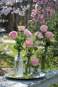 Long-stemmed pink roses (Rosa) in various vases on patio table