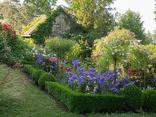 Romantic garden with roses and perennials surrounded by a box hedge, woodshed