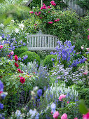 Flowering bed with roses and perennials in front of a wooden bench