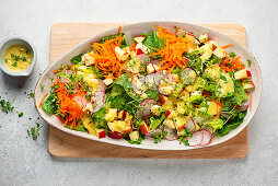 Spring salad with carrots, sprouts, radishes and apple