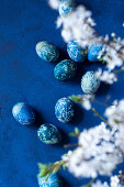 Blue Easter eggs on a blue background with blooming cherry blossoms