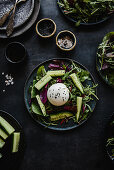 Salad with cucumber, young salad leaves and burrata